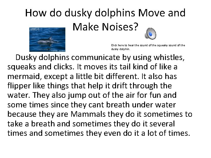 How do dusky dolphins Move and Make Noises? Click here to hear the sound