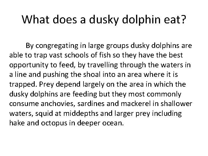 What does a dusky dolphin eat? By congregating in large groups dusky dolphins are