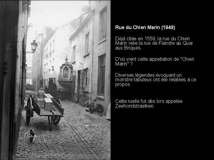  • • • Rue du Chien Marin (1949) • D'où vient cette appellation