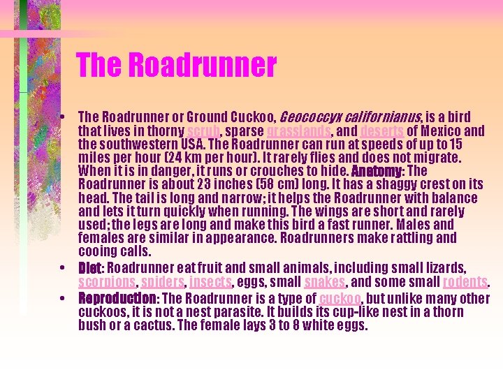 The Roadrunner • The Roadrunner or Ground Cuckoo, Geococcyx californianus, is a bird that