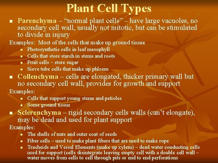 Plant Cell Types n Parenchyma – “normal plant cells” – have large vacuoles, no