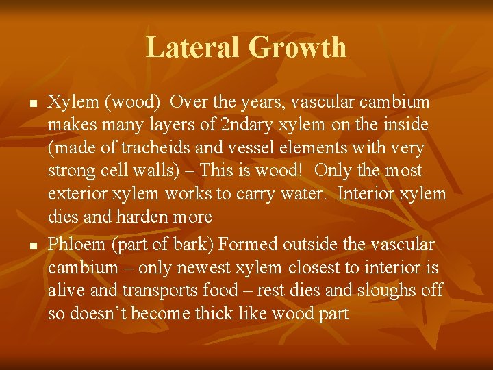 Lateral Growth n n Xylem (wood) Over the years, vascular cambium makes many layers