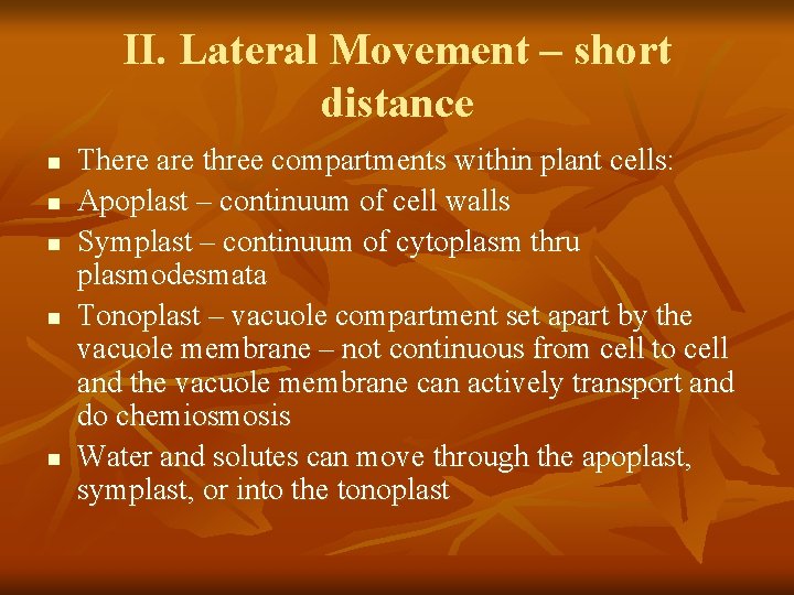 II. Lateral Movement – short distance n n n There are three compartments within