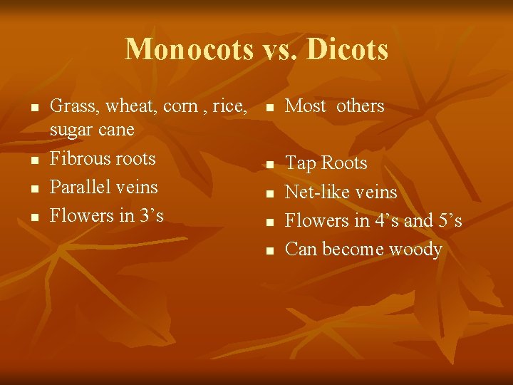 Monocots vs. Dicots n n Grass, wheat, corn , rice, sugar cane Fibrous roots