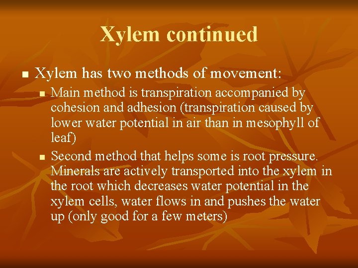 Xylem continued n Xylem has two methods of movement: n n Main method is