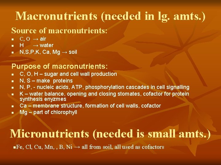 Macronutrients (needed in lg. amts. ) Source of macronutrients: C, O → air H
