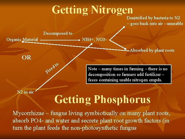 Getting Nitrogen Denitrified by bacteria to N 2 – goes back into air -