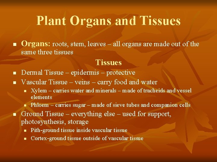 Plant Organs and Tissues n Organs: roots, stem, leaves – all organs are made