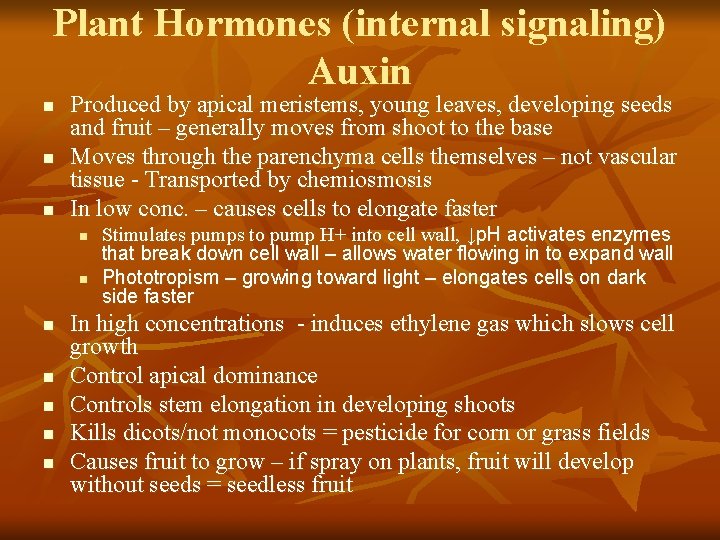Plant Hormones (internal signaling) Auxin n Produced by apical meristems, young leaves, developing seeds