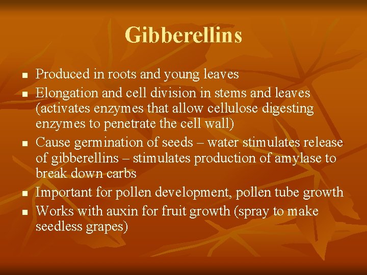 Gibberellins n n n Produced in roots and young leaves Elongation and cell division