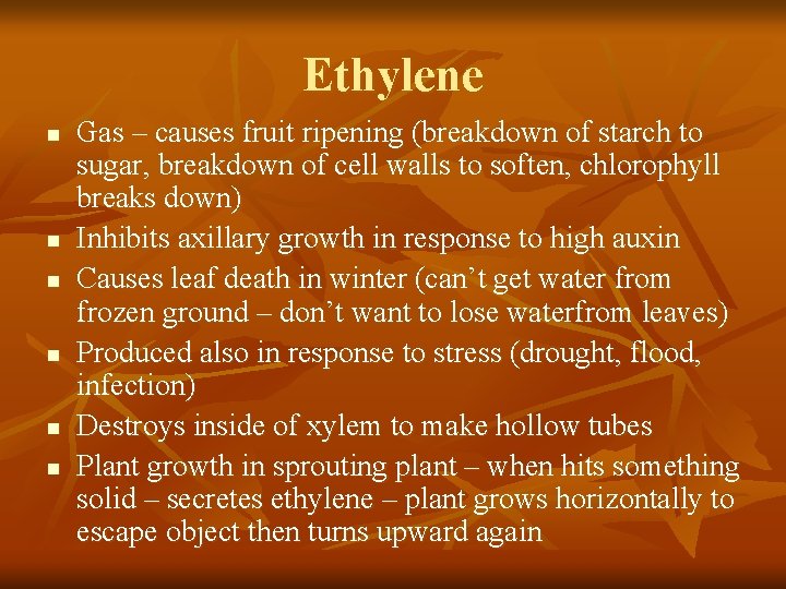 Ethylene n n n Gas – causes fruit ripening (breakdown of starch to sugar,