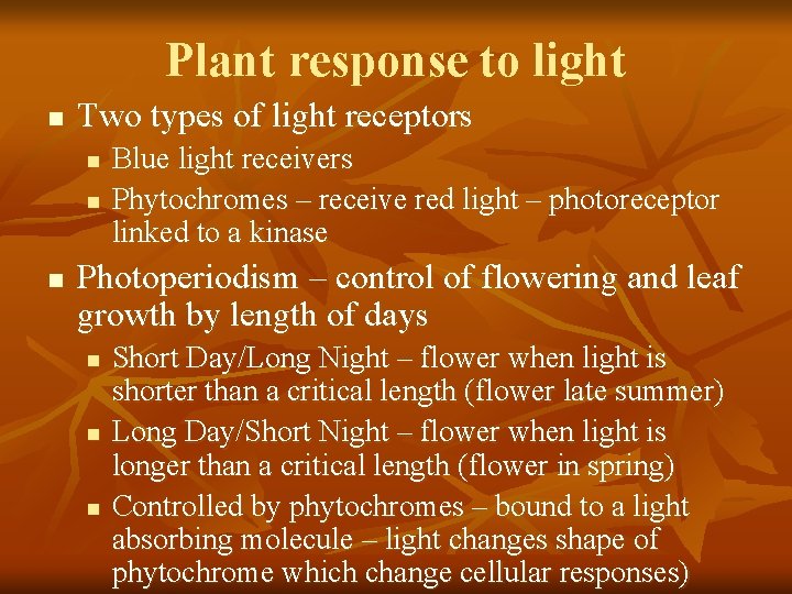 Plant response to light n Two types of light receptors n n n Blue