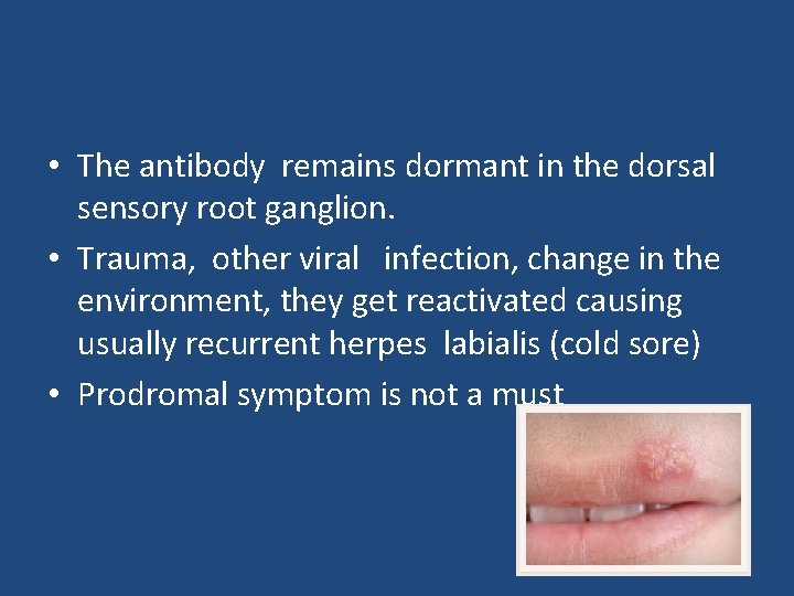 • The antibody remains dormant in the dorsal sensory root ganglion. • Trauma,