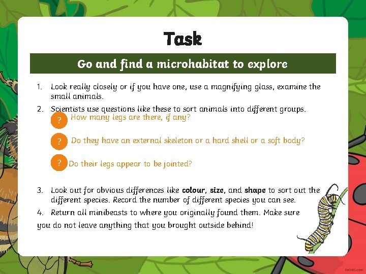 Task Go and find a microhabitat to explore 1. Look really closely or if Task Go and find a microhabitat to explore 1. Look really closely or if