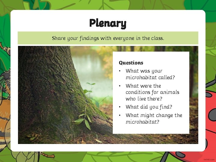 Plenary Share your findings with everyone in the class. Questions • What was your Plenary Share your findings with everyone in the class. Questions • What was your