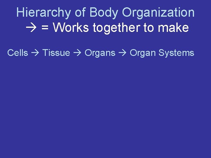 Hierarchy of Body Organization = Works together to make Cells Tissue Organs Organ Systems