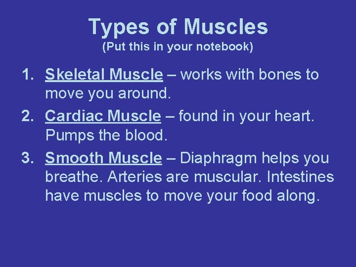 Types of Muscles (Put this in your notebook) 1. Skeletal Muscle – works with