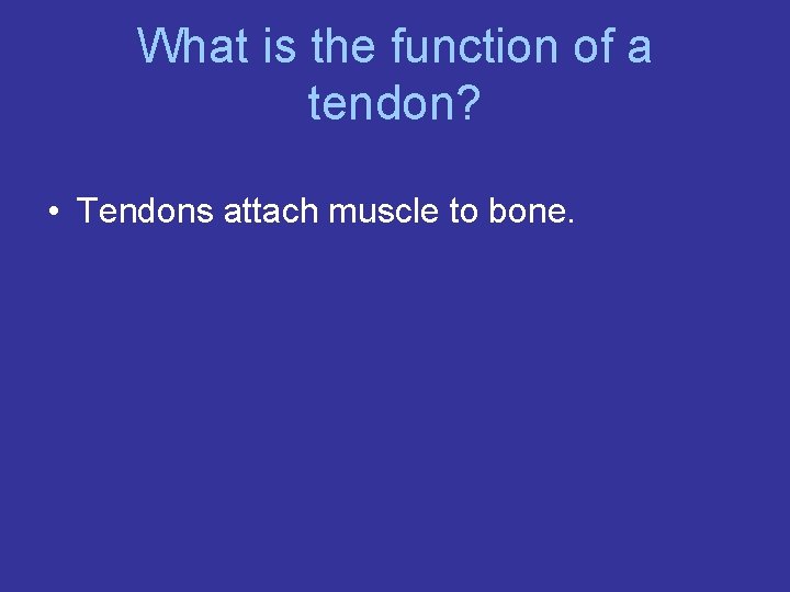 What is the function of a tendon? • Tendons attach muscle to bone. 
