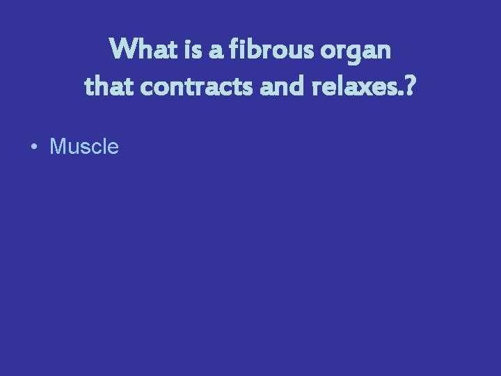 What is a fibrous organ that contracts and relaxes. ? • Muscle 