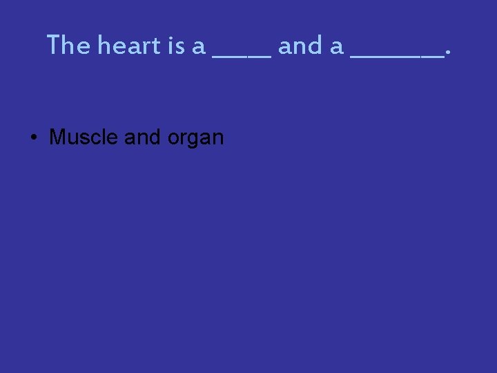 The heart is a _____ and a ____. • Muscle and organ 