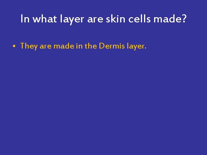 In what layer are skin cells made? • They are made in the Dermis