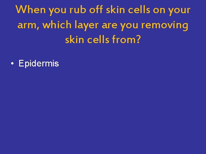 When you rub off skin cells on your arm, which layer are you removing