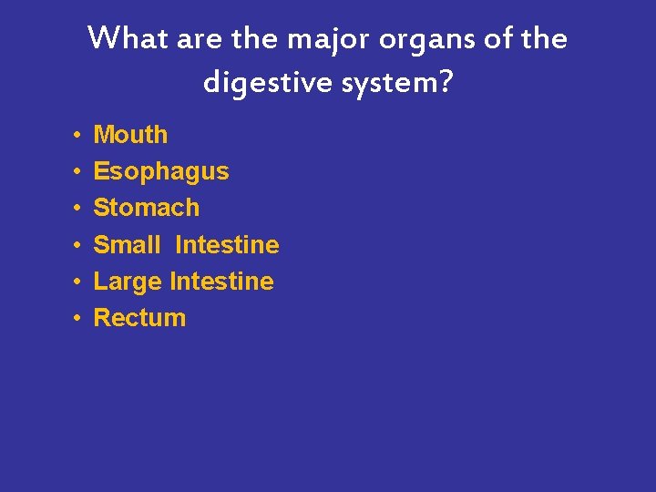 What are the major organs of the digestive system? • • • Mouth Esophagus