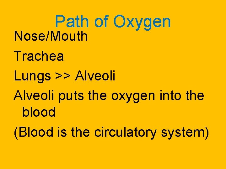 Path of Oxygen Nose/Mouth Trachea Lungs >> Alveoli puts the oxygen into the blood