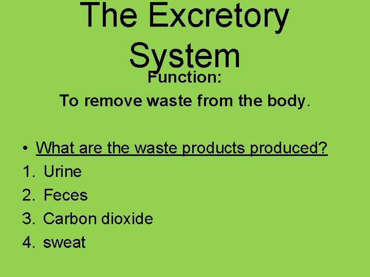 The Excretory System Function: To remove waste from the body. • What are the