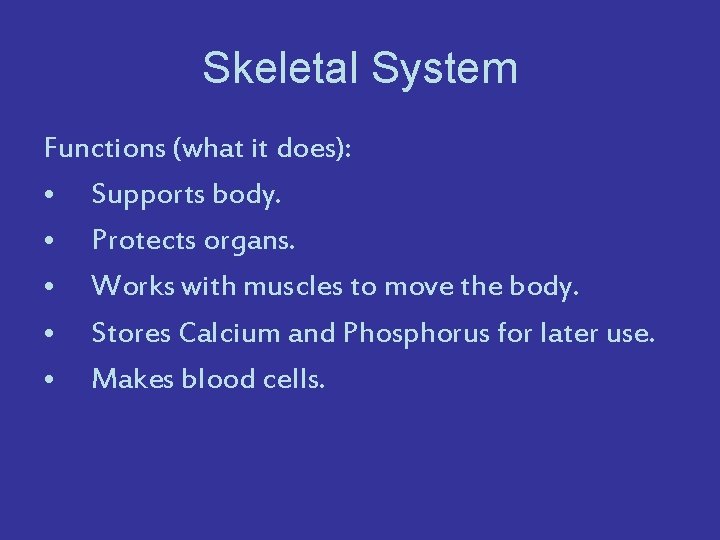 Skeletal System Functions (what it does): • Supports body. • Protects organs. • Works