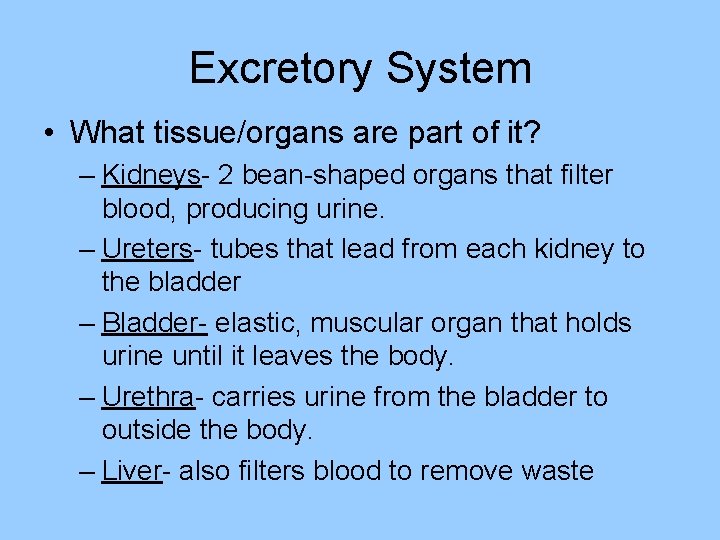 Excretory System • What tissue/organs are part of it? – Kidneys- 2 bean-shaped organs