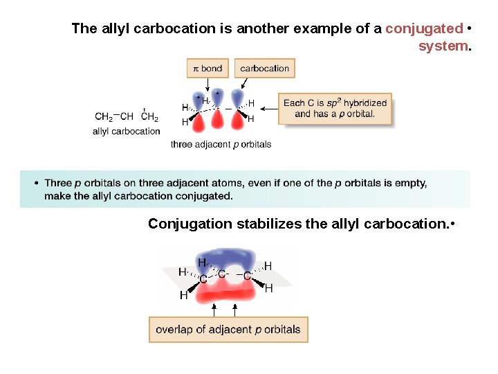 The allyl carbocation is another example of a conjugated • system. Conjugation stabilizes the