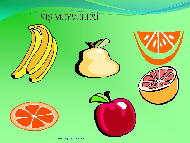 KIŞ MEYVELERİ www. slaytyerim. com 