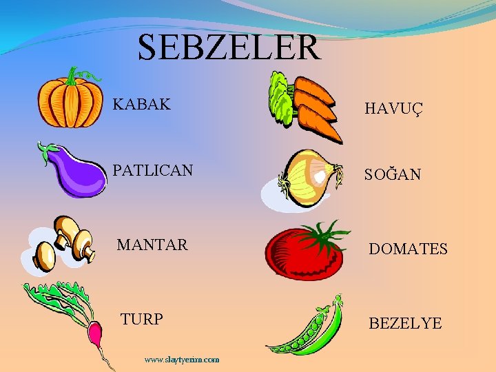 SEBZELER KABAK HAVUÇ PATLICAN SOĞAN MANTAR DOMATES TURP BEZELYE www. slaytyerim. com 