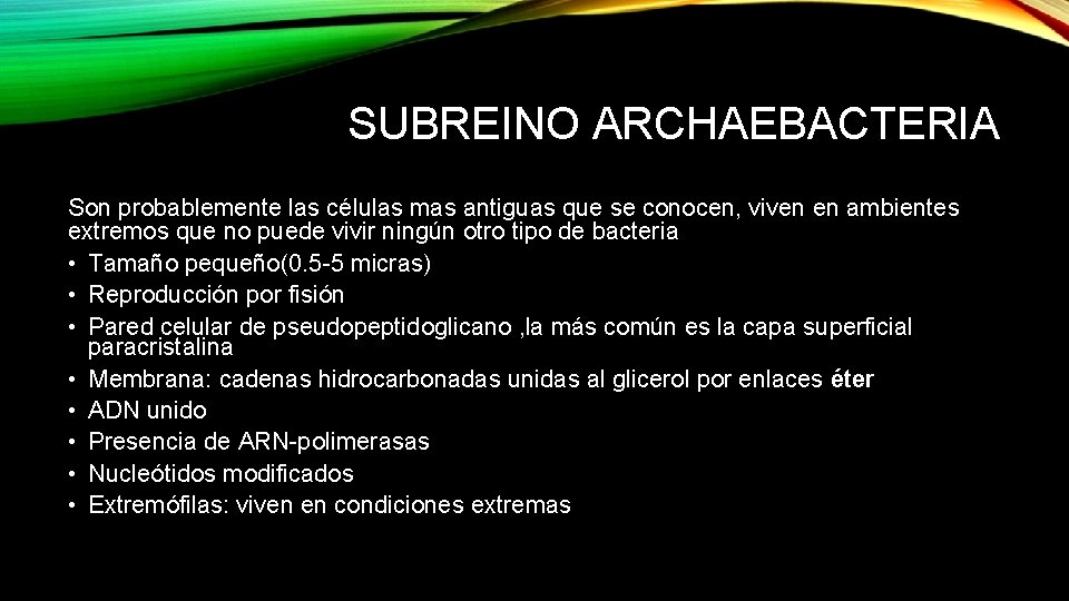 SUBREINO ARCHAEBACTERIA Son probablemente las células mas antiguas que se conocen, viven en ambientes