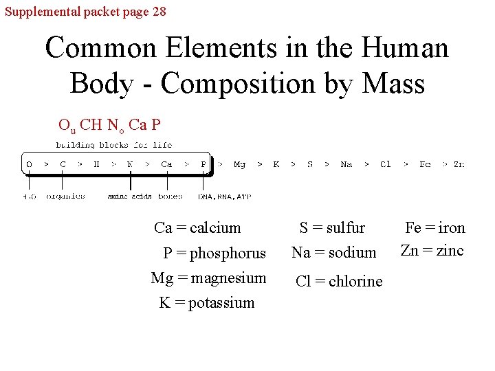 Supplemental packet page 28 Common Elements in the Human Body - Composition by Mass