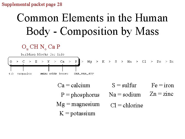 Supplemental packet page 28 Common Elements in the Human Body - Composition by Mass Supplemental packet page 28 Common Elements in the Human Body - Composition by Mass