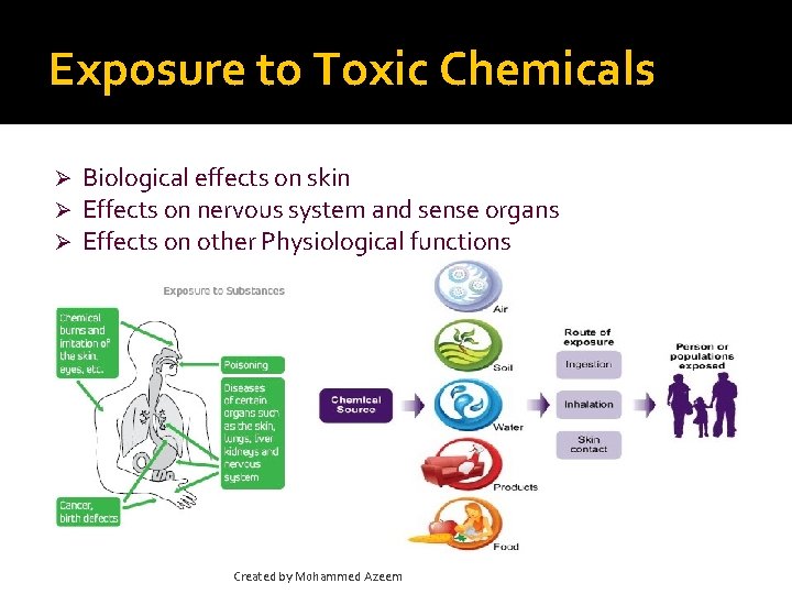 Exposure to Toxic Chemicals Ø Ø Ø Biological effects on skin Effects on nervous
