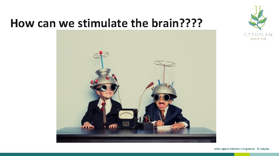 How can we stimulate the brain? ? Action Against Alzheimer’s Programme © Cytoplan 