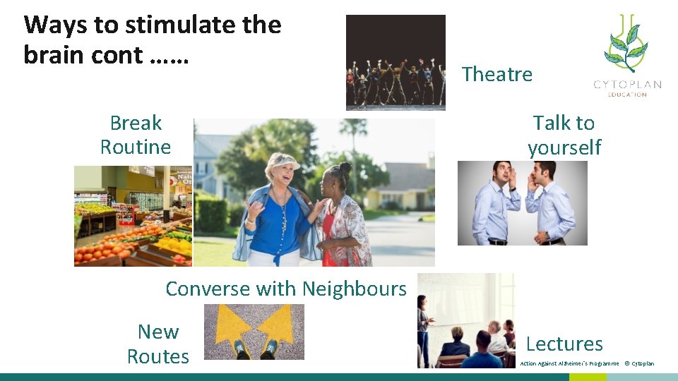 Ways to stimulate the brain cont …… Break Routine Theatre Talk to yourself Converse