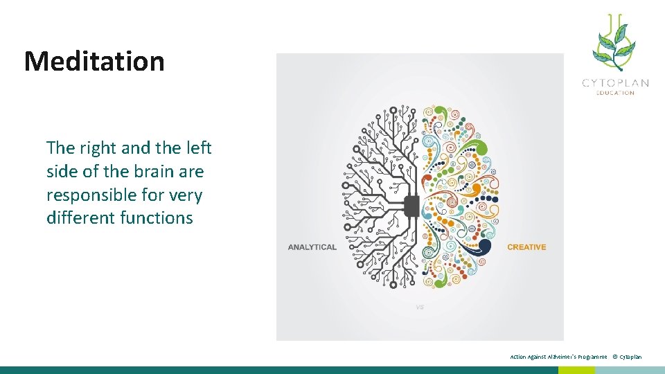 Meditation The right and the left side of the brain are responsible for very