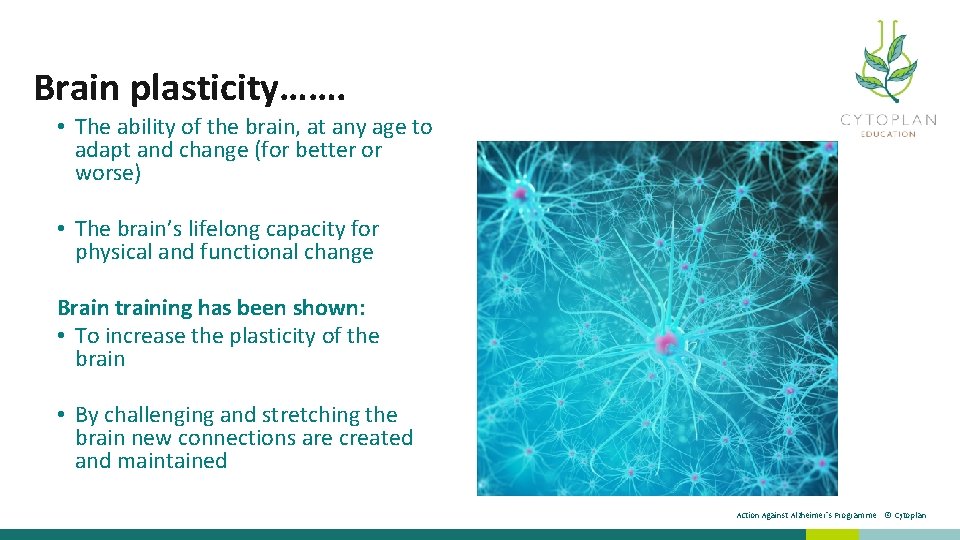 Brain plasticity……. • The ability of the brain, at any age to adapt and