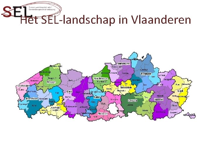 Het SEL-landschap in Vlaanderen 