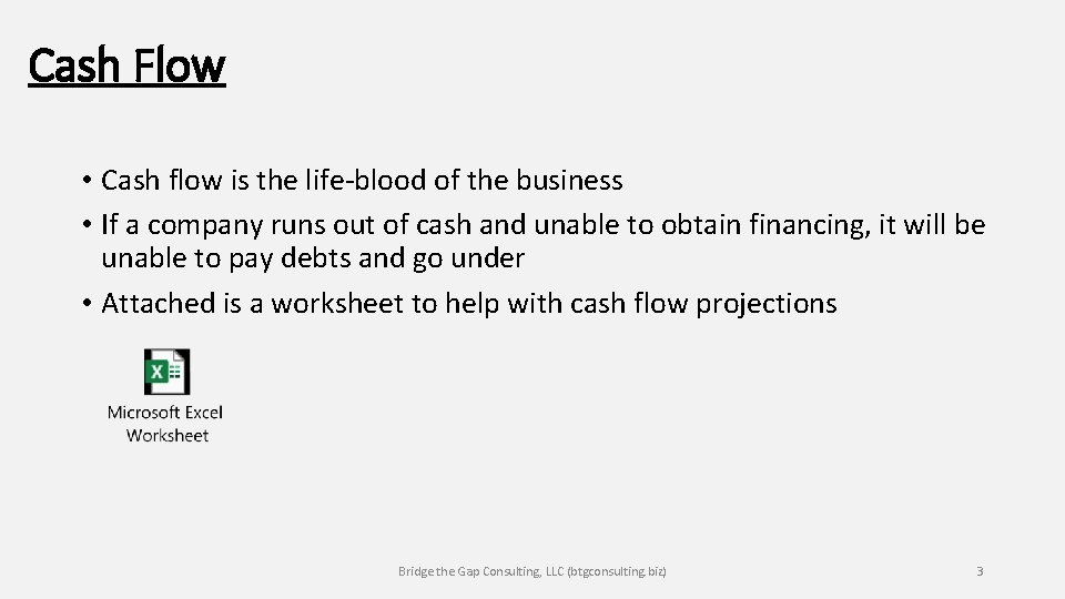 Cash Flow • Cash flow is the life-blood of the business • If a