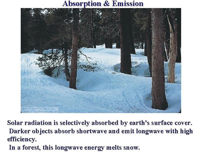 Absorption & Emission Solar radiation is selectively absorbed by earth's surface cover. Darker objects