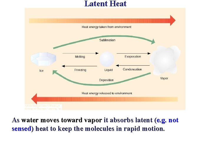 Latent Heat As water moves toward vapor it absorbs latent (e. g. not sensed)