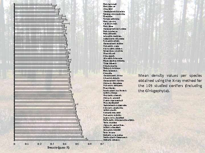 Pinus hartwegii Pinus pinaster Abies fabri Cunninghamia lanceolata Taiwana cryptomerioides Picea abies Torreya californica