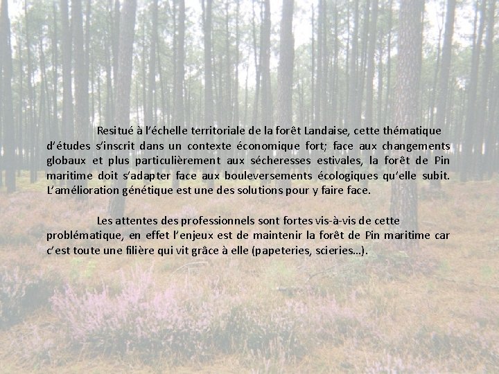 Resitué à l’échelle territoriale de la forêt Landaise, cette thématique d’études s’inscrit dans un