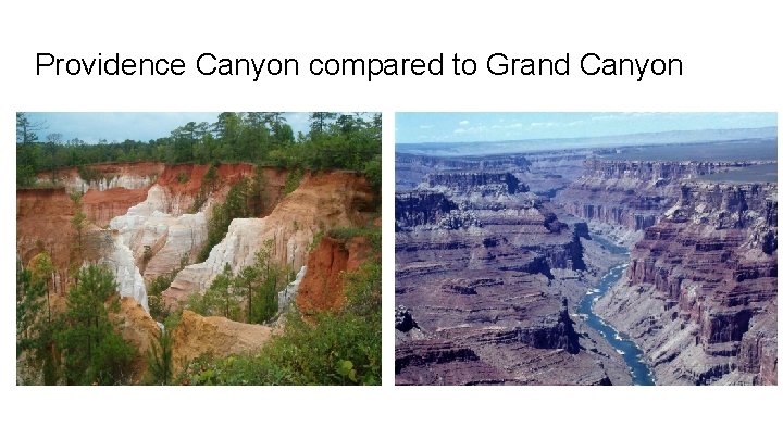 Providence Canyon compared to Grand Canyon 