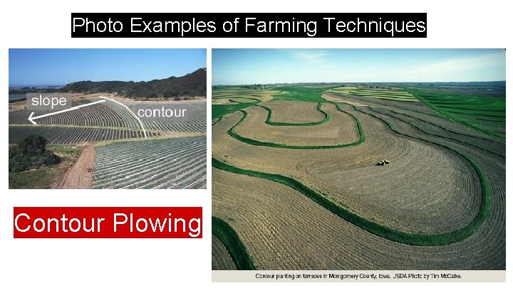 Photo Examples of Farming Techniques Contour Plowing 